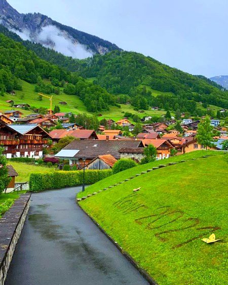 Beautiful Nature image