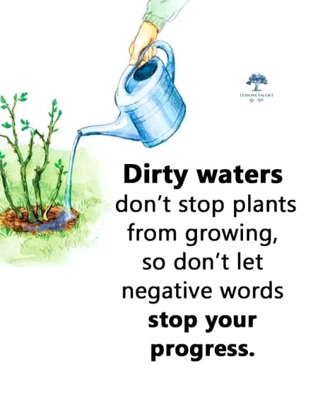 Life Advice image
