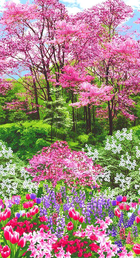 Beautiful Nature image