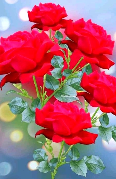 Beautiful Nature image