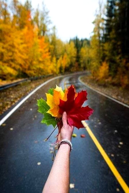 Beautiful Nature image