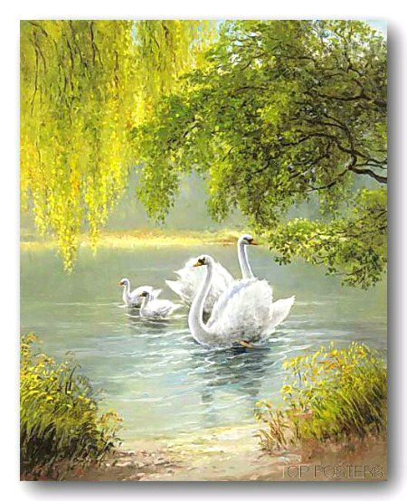 Beautiful Nature image