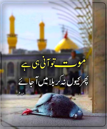 Motivational Quotes image