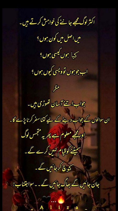 Attitude Quotes image