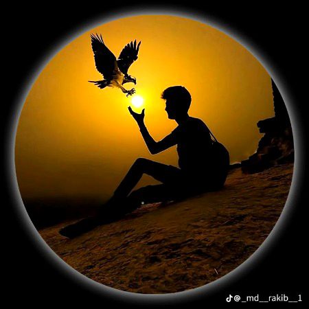 Beautiful Nature image