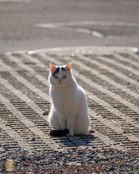 Beautiful Nature image