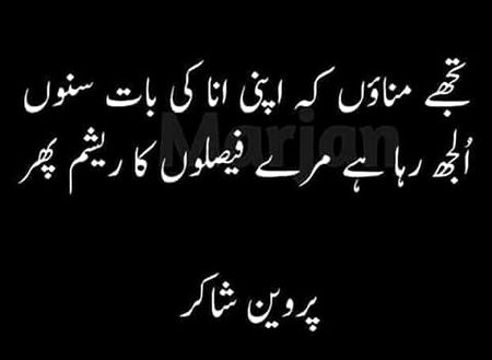 Attitude Poetry image