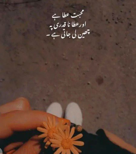 .. Allah hafiz..