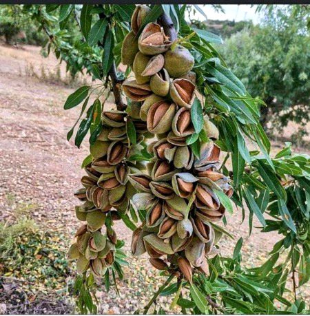 Beautiful Nature image