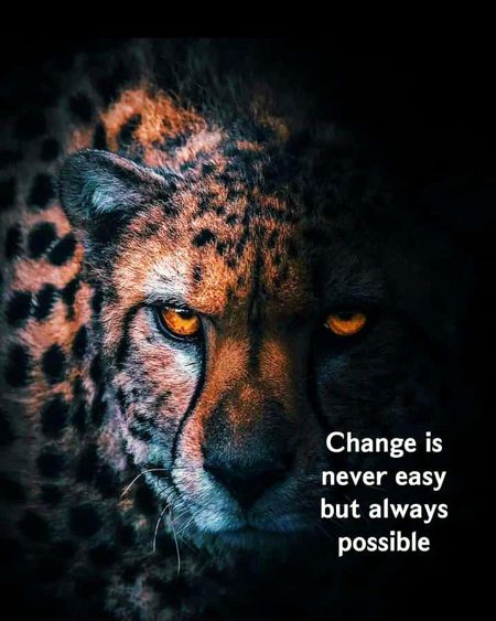 Motivational Quotes image