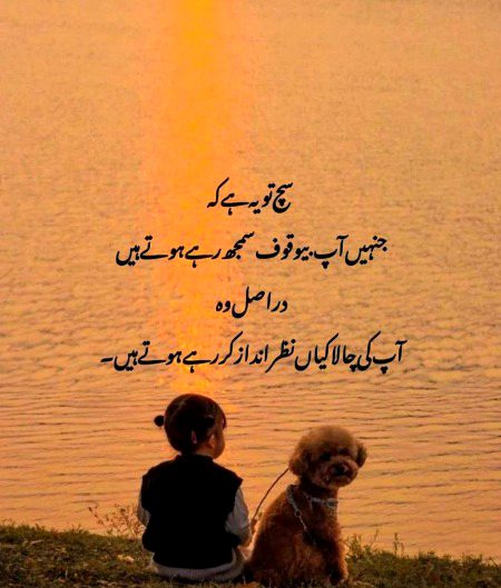 Life Advice image