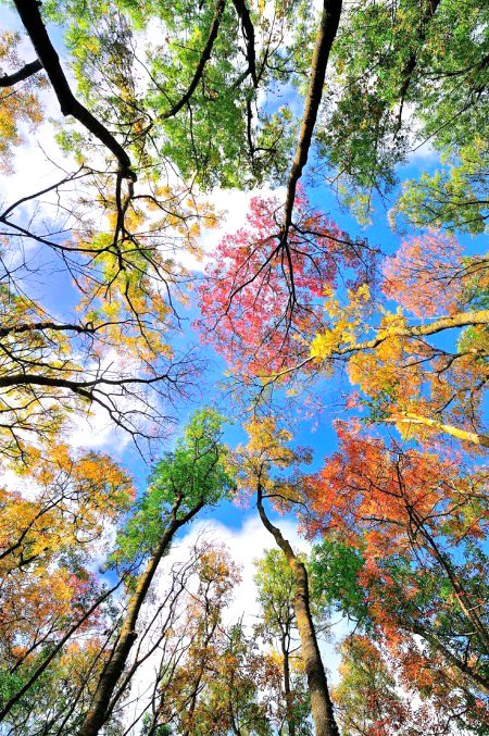 BEAUTIFUL NATURE 🥀