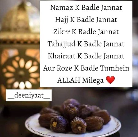 Islamic Quotes image