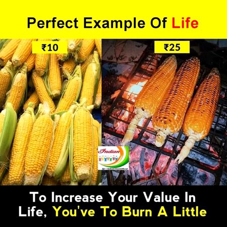 Life Advice image