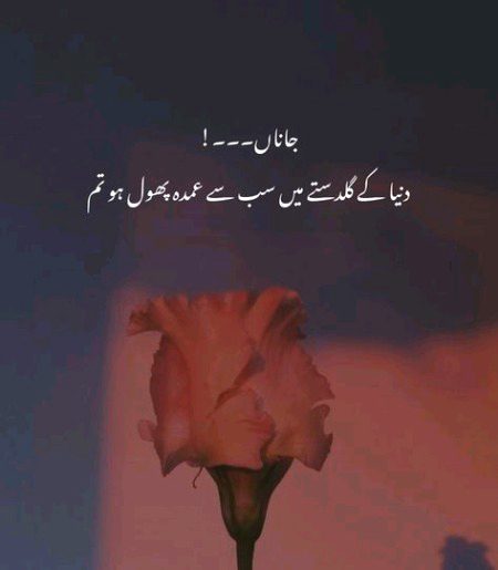 Romantic Poetry image