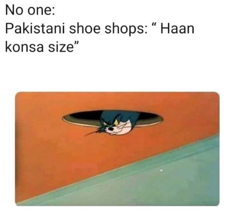Memes & Satire image