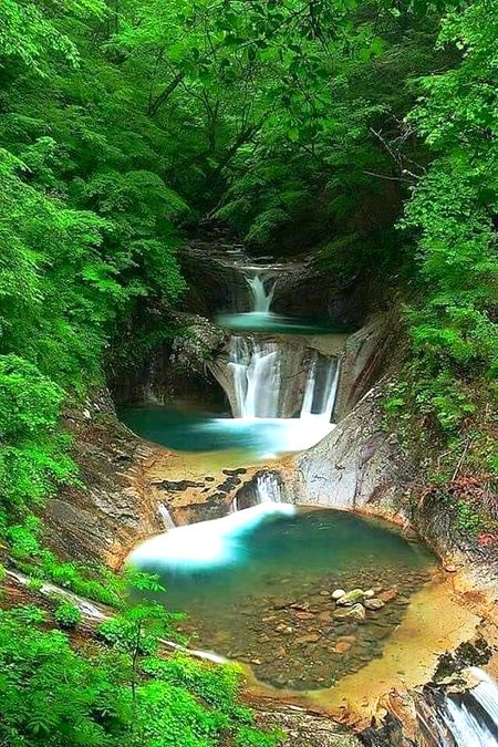 Beautiful Nature image