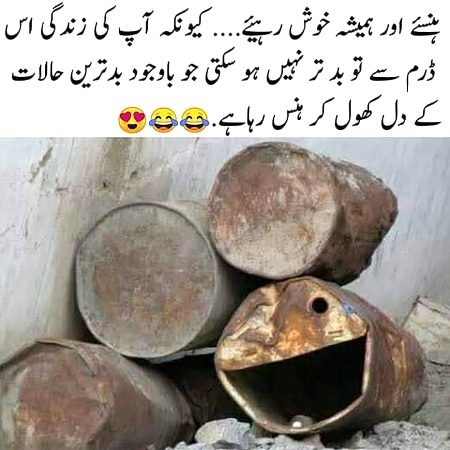 Memes & Satire image