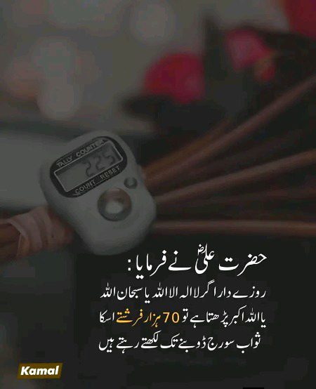 Islamic Quotes image