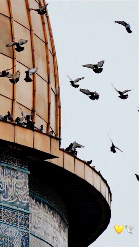 Beautiful Structures image