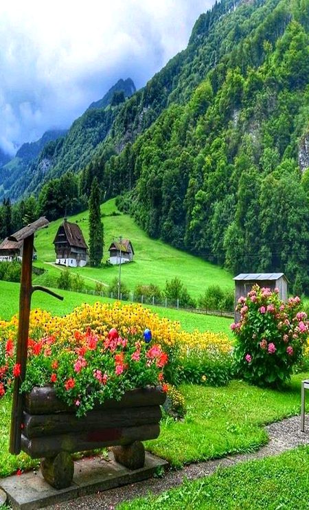 Beautiful Nature image