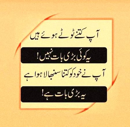 Life Advice image