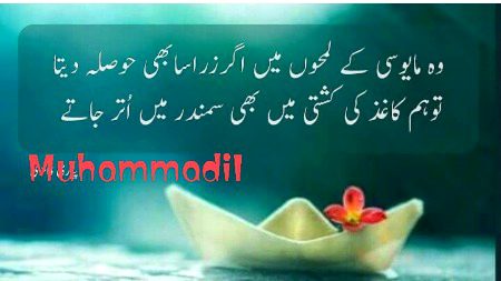 Shab bakhair doston ❤️