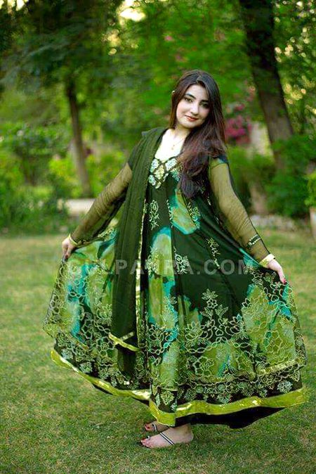 Gull panera pashton beauty