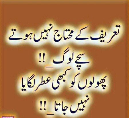 ,,,56677766&&6