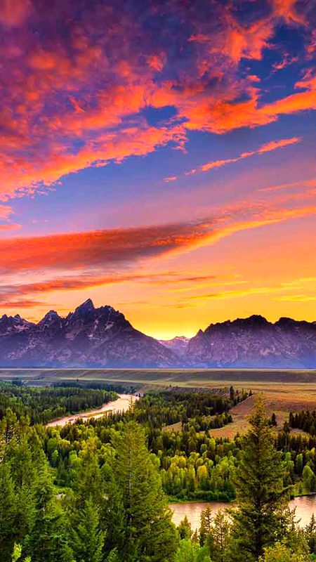 Beautiful Nature image