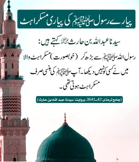 مسکرائے مصطفی ہر چیز روشن ہوگئی۔۔ صلی اللّٰہ علیہ وسلم ❤️