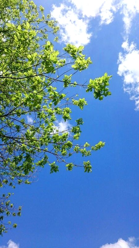 Beautiful Nature image