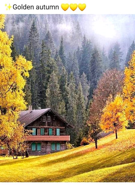 Beautiful Nature image