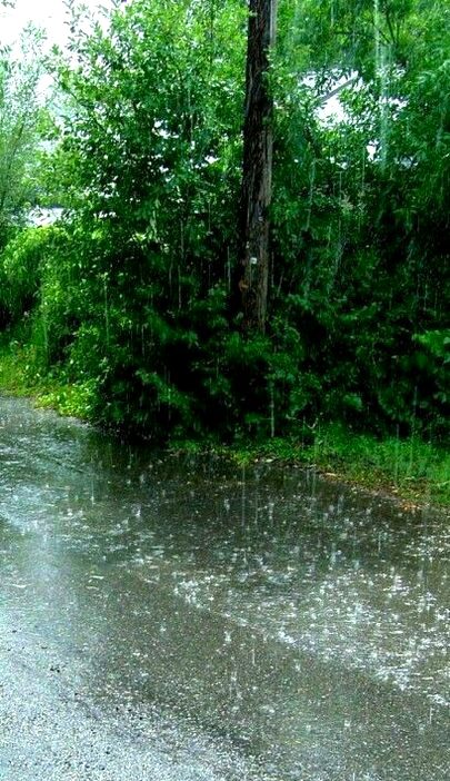 Beautiful Nature image