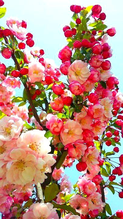 Beautiful Nature image