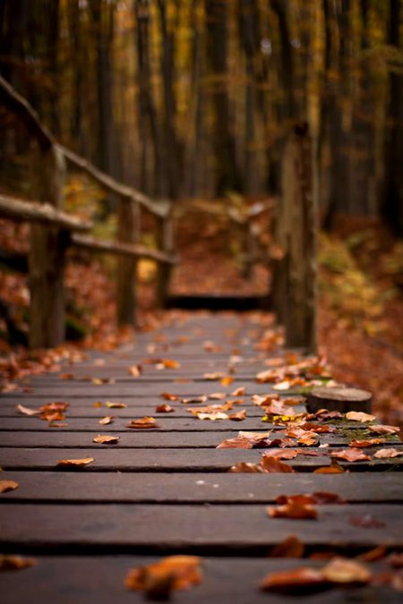 Beautiful Nature image