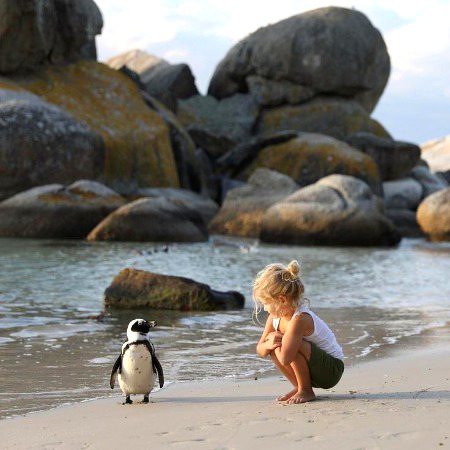 Beautiful Nature image