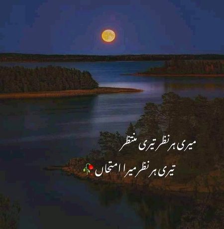 Romantic Poetry image