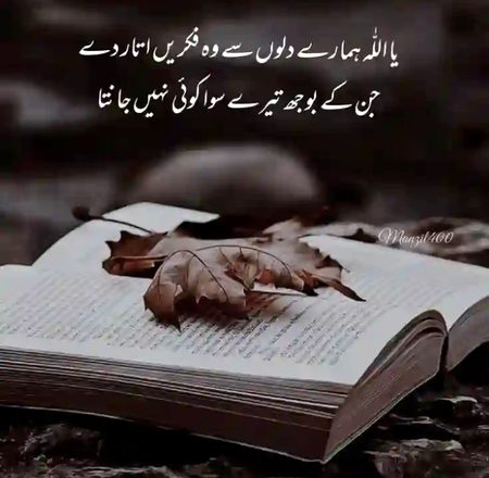 InshaAllaH AaMeeN SuM AaMeeN🤲