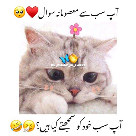 Jokes image