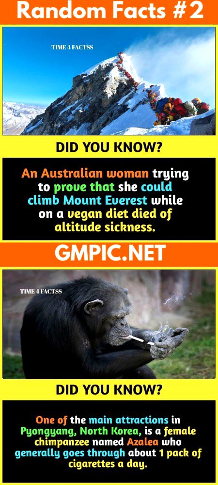 Interesting Posts image