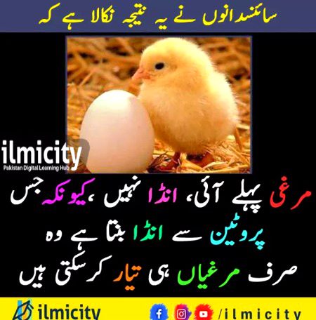 Interesting Posts image