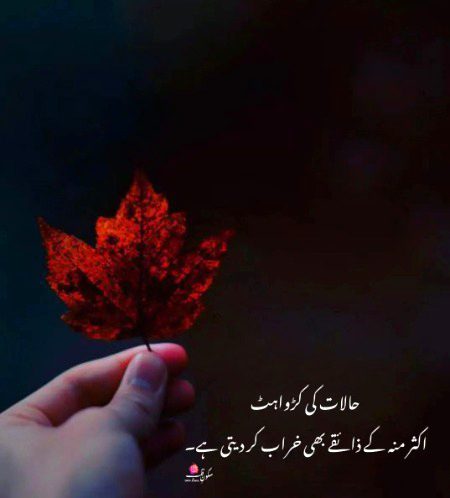 Sad Poetry image
