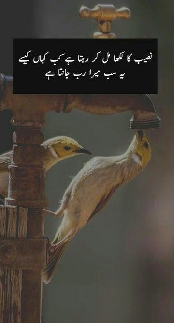 Life Advice image
