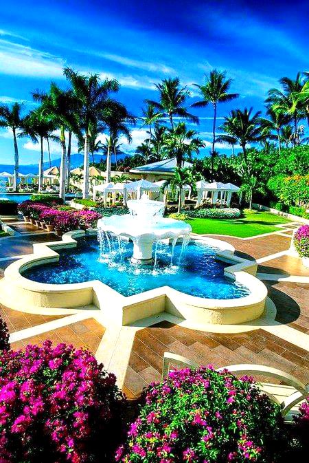 Beautiful Nature image