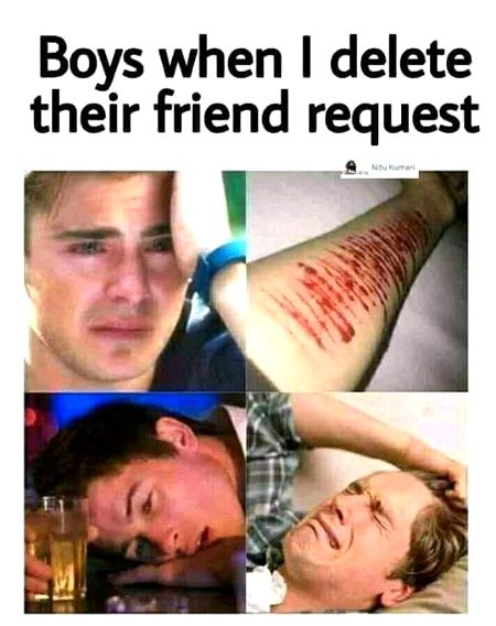 Memes & Satire image