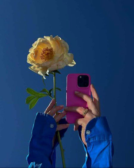 Beautiful Nature image