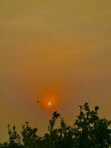 Beautiful Nature image