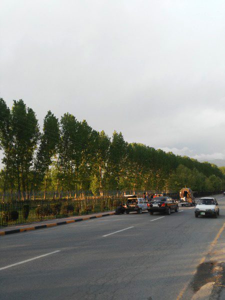 Beautiful Nature image