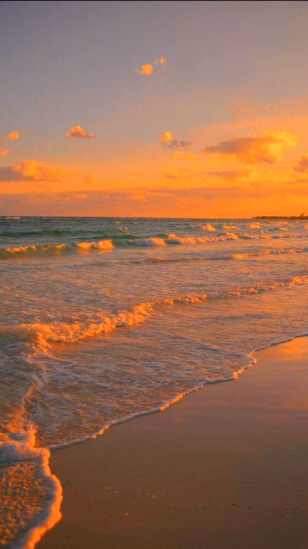 Beautiful Nature image